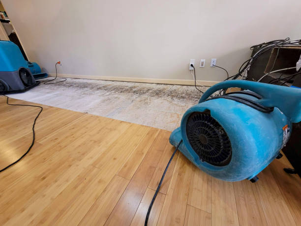 Professional Water Extraction technician working in Redding, CT